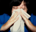Woman Sneezing in White Hankie. By mcfarlandmo [CC-BY-2.0 (www.creativecommons.org/licenses/by/2.0)], via Wikimedia Commons