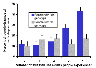 chart depicting that gene more than doubles the risk of depression following life stresses